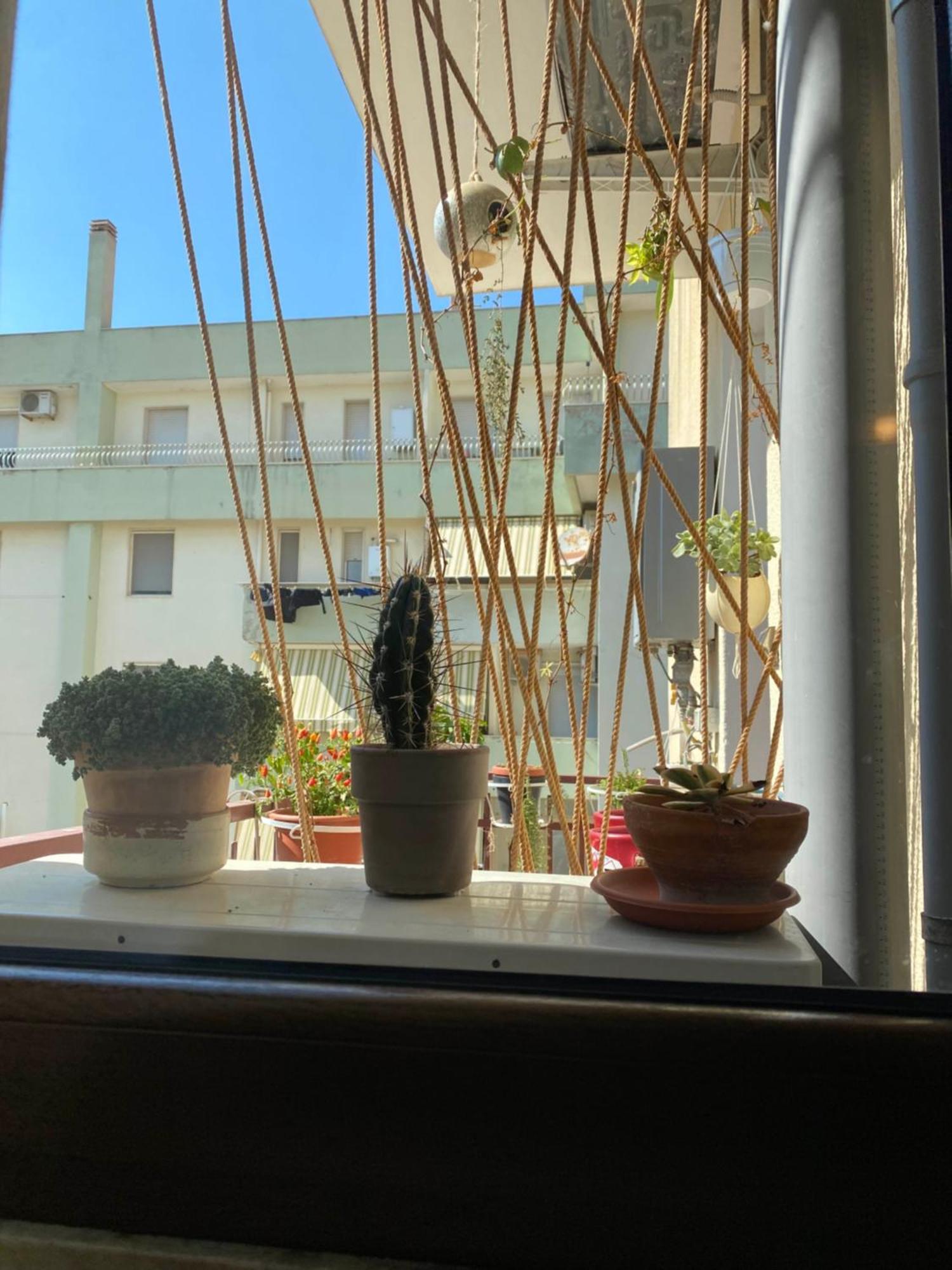 S'Accabbadora Guest House 알게로 외부 사진